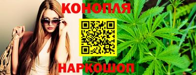 spice Коммунар