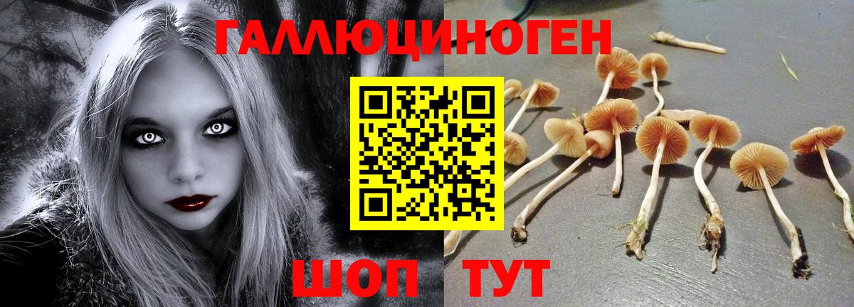дарнет шоп  Псилоцибиновые грибы Cubensis  Вход с VPN  Галлюциногенные грибы Cubensis  Тимашёвск 